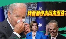 佩洛西被爆料最新消息,揭秘国会山事件背后真相