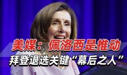 佩洛西被爆料最新消息,揭秘国会山事件背后真相